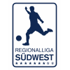 Liga Regional Sudoeste