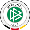 Liga Regional Sul